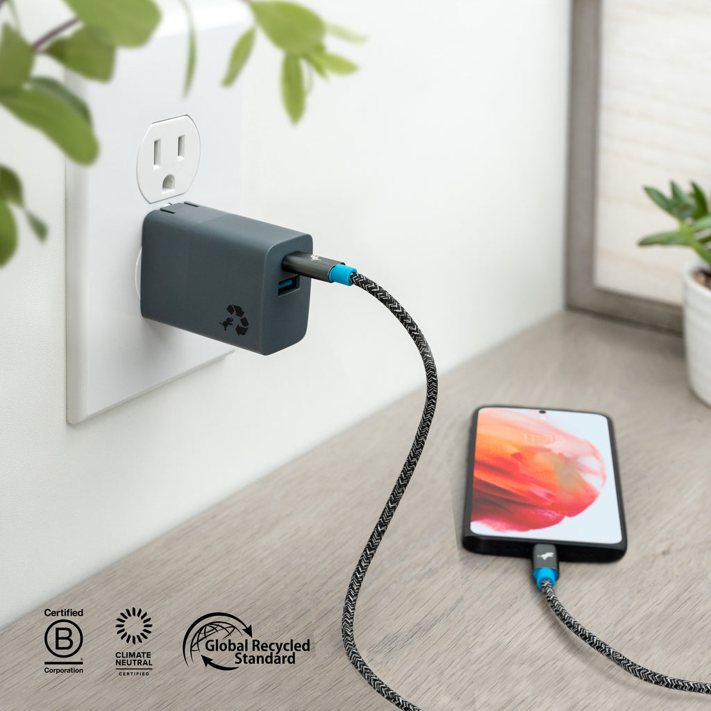 WALLY Mini Plus Wall Charger